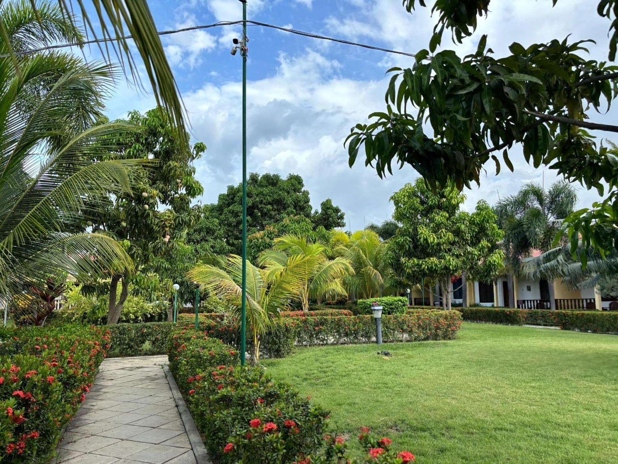 Palm Malinamoc Hotel Dili Eksteriør billede