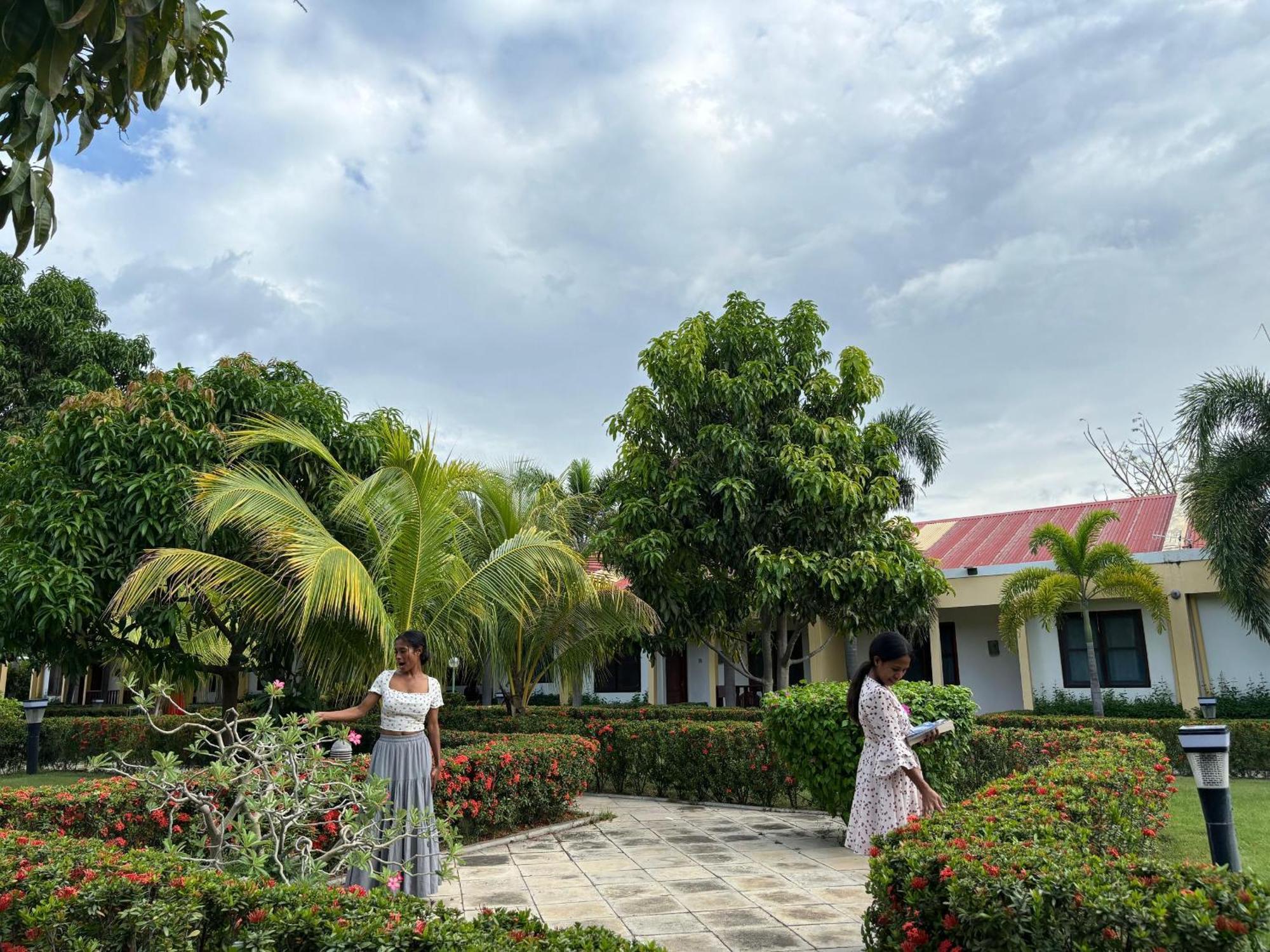 Palm Malinamoc Hotel Dili Eksteriør billede