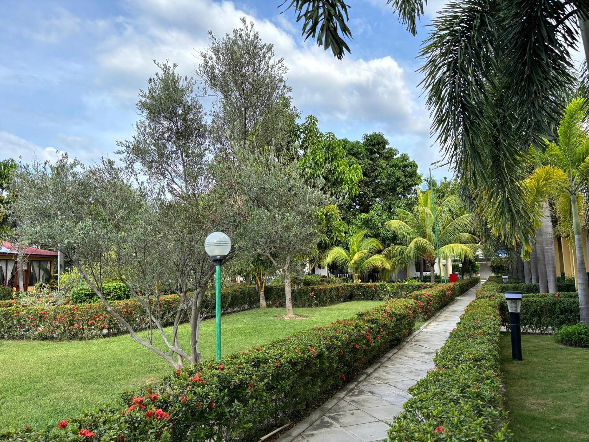 Palm Malinamoc Hotel Dili Eksteriør billede