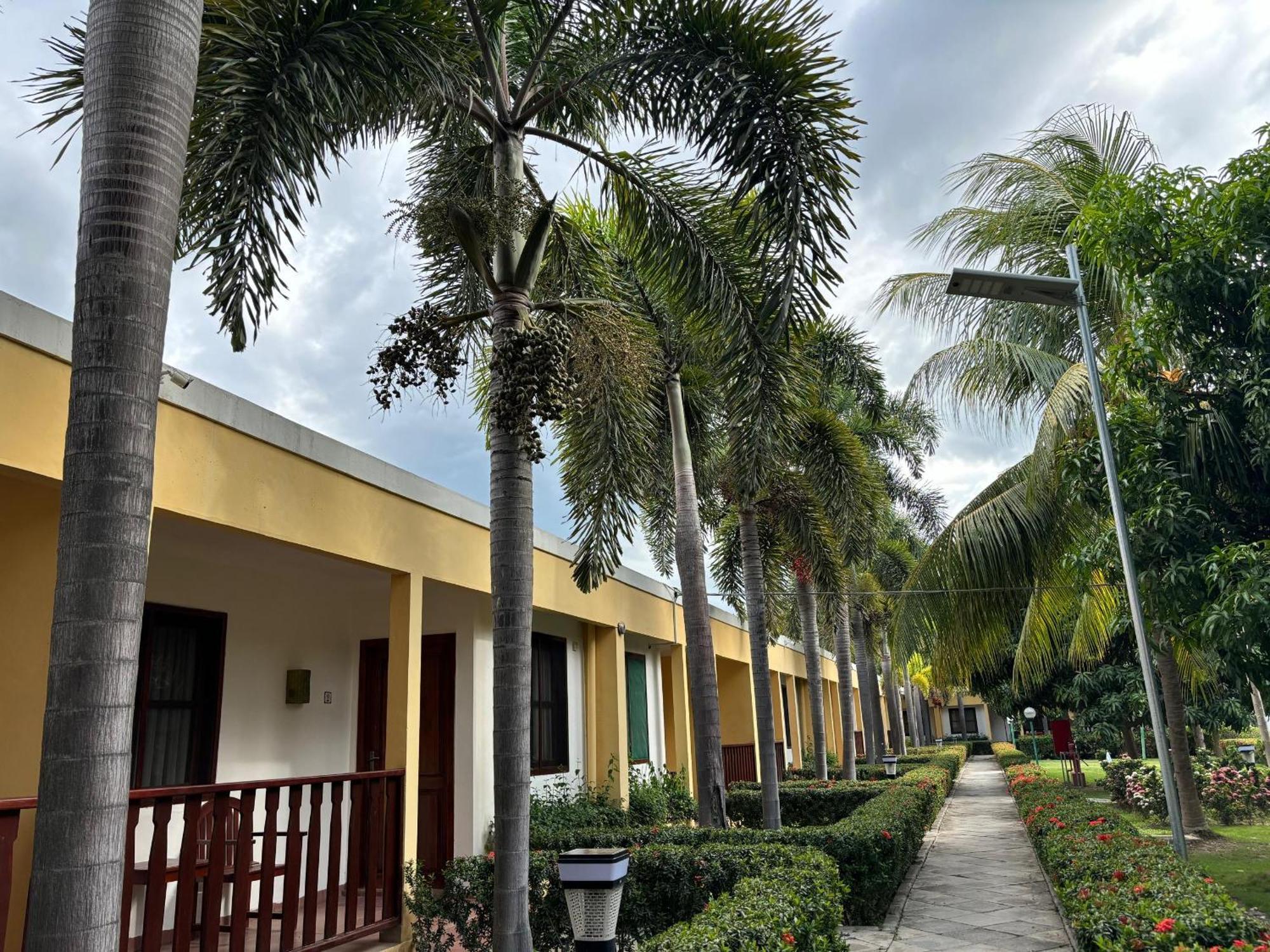 Palm Malinamoc Hotel Dili Eksteriør billede